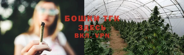 прущие грибы Абдулино