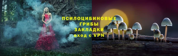 прущие грибы Абдулино