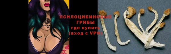 марки nbome Волоколамск