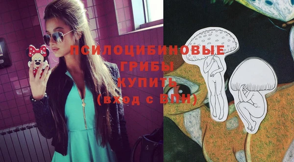 прущие грибы Абдулино