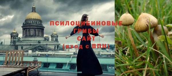 прущие грибы Абдулино