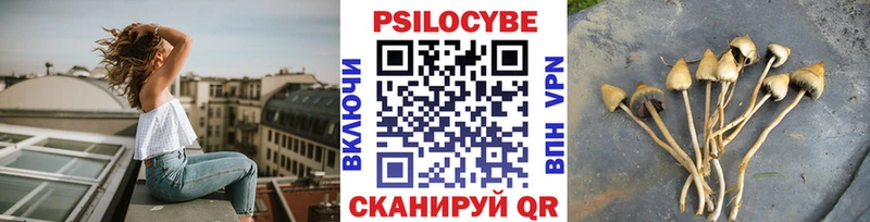 Псилоцибиновые грибы мухоморы Смоленск