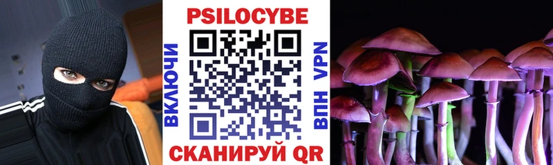 Псилоцибиновые грибы Psilocybe  Смоленск 